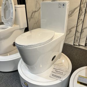 Standard Toilet GF-A002