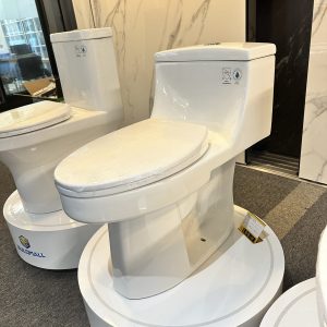 Standard Toilet GF-A006
