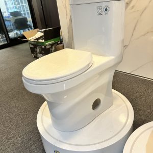Standard Toilet GF-A021